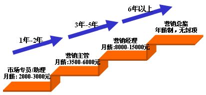 營(yíng)銷(xiāo)之路 通往世界500強(qiáng)領(lǐng)導(dǎo)層的戰(zhàn)略起點(diǎn)
