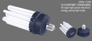 供應(yīng)圣西朗大功率節(jié)能燈245w_燈具照明_世界工廠網(wǎng)中國產(chǎn)品信息庫