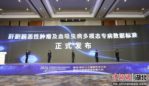 2025智鏈醫(yī)療人工智能生態(tài)大會(huì)啟幕，智能技術(shù)驅(qū)動(dòng)醫(yī)療健康新未來